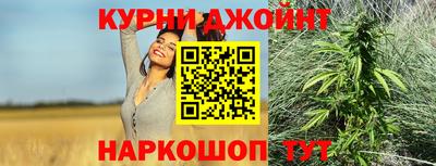 spice Гусев