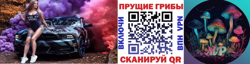 Псилоцибиновые грибы GOLDEN TEACHER  MEGA ТОР  Зерноград 