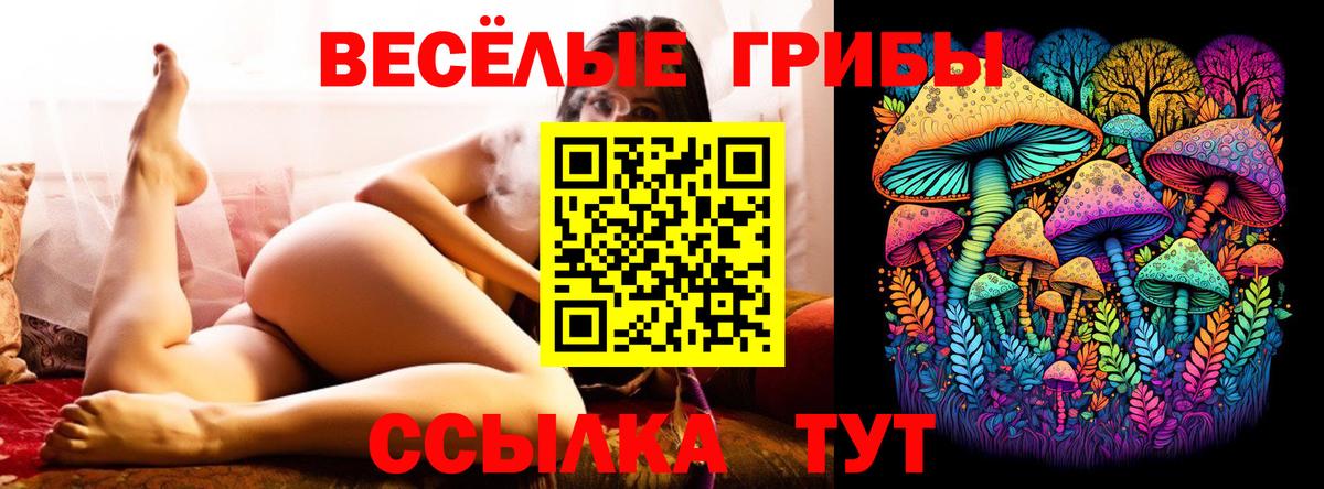 Галлюциногенные грибы Magic Shrooms Зерноград