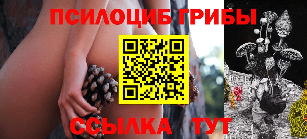 Зерноград  Галлюциногенные грибы Psilocybine cubensis  Галлюциногенные грибы прущие грибы  Вход с VPN 
